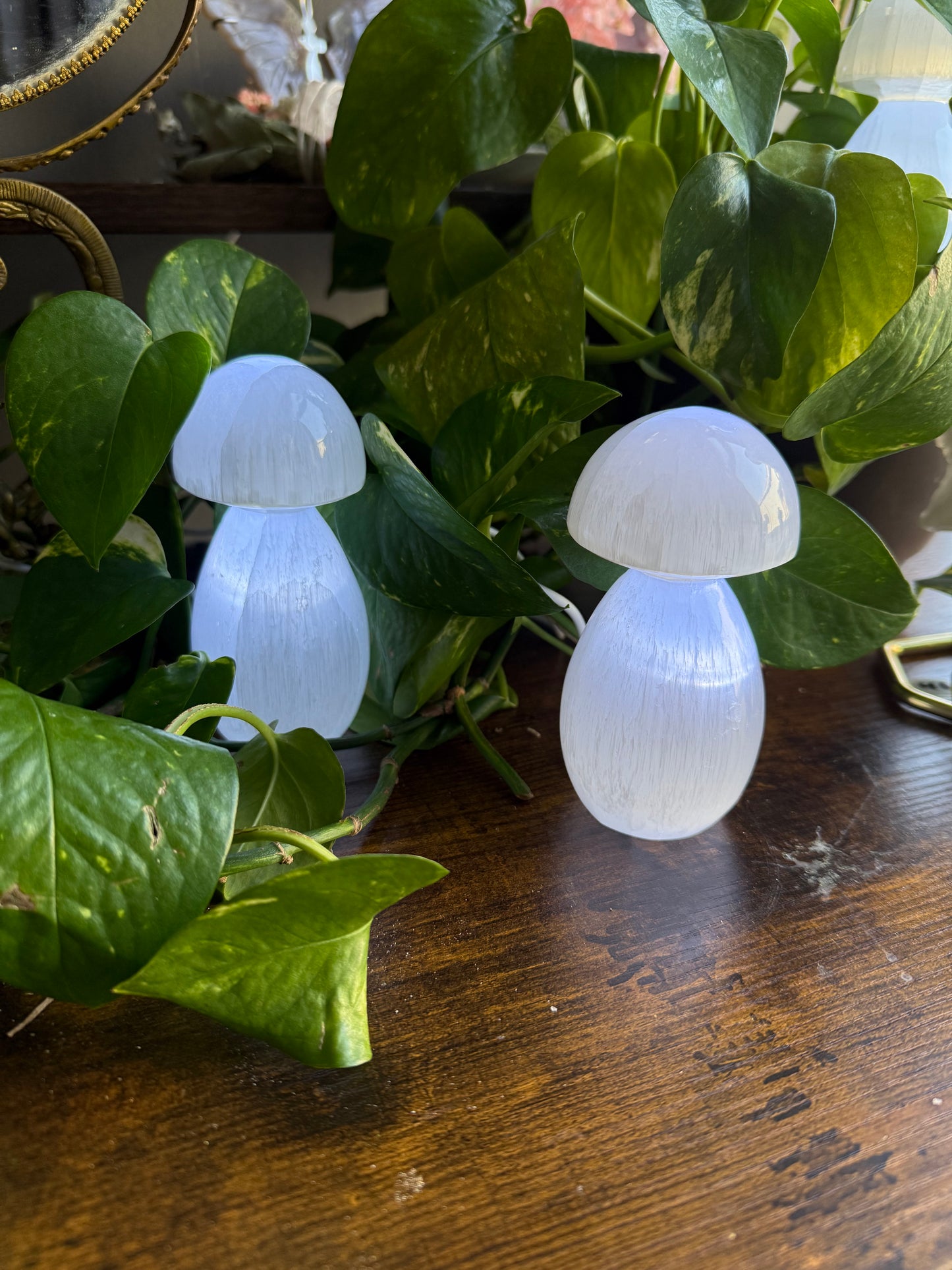 Selenite Mushroom Lamp 4.5 in. x 2 in.