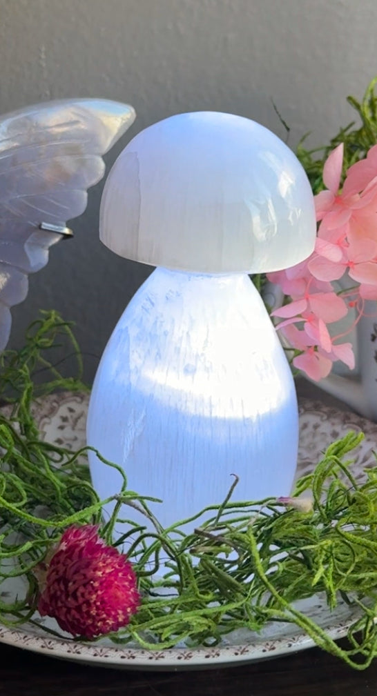 Selenite Mushroom Lamp 4.5 in. x 2 in.